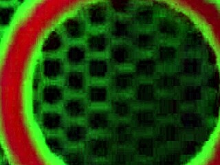 right before church rome major pounds brandi foxx's big natural tits and hairy pussy