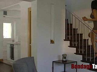 busty brunette aaliyah hadid bound and dominated with big tits bouncing