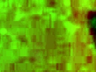 turns out my cute wife wasn't cheating but humiliating me with young bull anyway