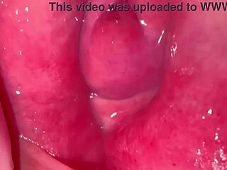 pink pussy up close 275 days post-virginity loss!!