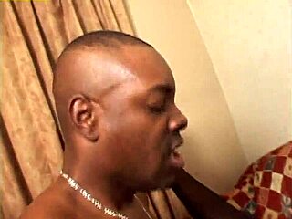 phat ebony ass gets monster cock doggystyle pounding volume 10