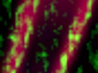 mibō sakata's instant av interview creampie rush part 1