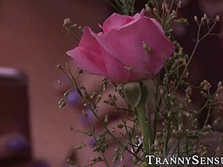 tattooed latina shemale deepthroats and anal fucks her stud bareback endlessly