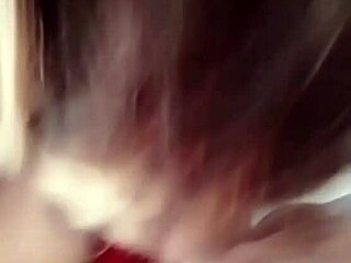 nigarchrist's petal update 1362 from june hits different...