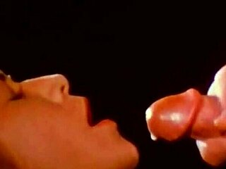 seventiesploitation captures retro pornodrome vibe fully