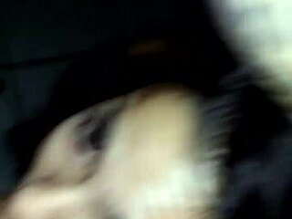 loren sucks me off hard in florida!