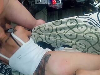 brunette pet gets anal fucked then face slammed rough