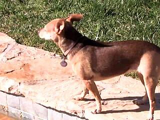 vanessa cage bts pussy play and tits tease 😘🔥