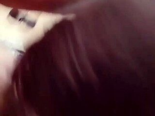 nigarchrist's petal update 1362 from june hits different...