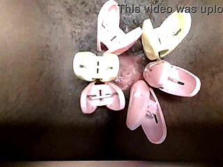 cyndy blackslave pussy closeup with clamps squeezing tight bdsm