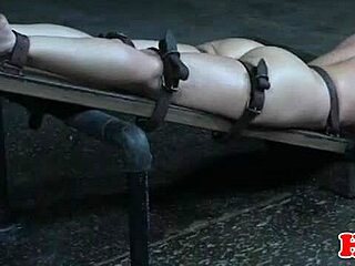 Milf's Perky Small Tits Bounce Bound in BDSM Toy Domination!