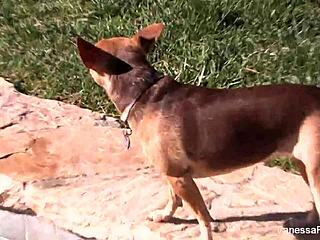 vanessa cage bts pussy play and tits tease 😘🔥