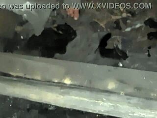 oops my stepsis caught me jerking off now she's licking my cock till i explode girls fly orgasm