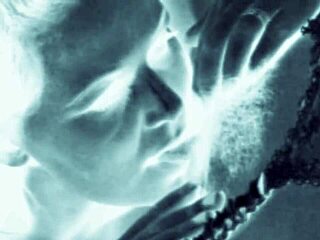 vintage retro art showcases hairy beavers and erotic pussy poses from antique era