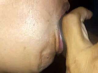 amateur cuckold latina rides bbc in bisexual fun