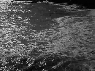 vintage retro art showcases hairy beavers and erotic pussy poses from antique era