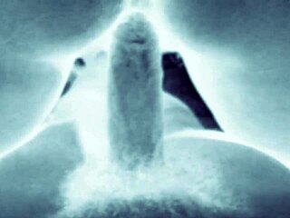 vintage retro art showcases hairy beavers and erotic pussy poses from antique era