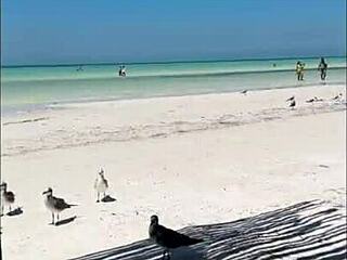 Nympho Redhead Teases Creamy Pussy On Sand-Covered Beach In XXX Vlog