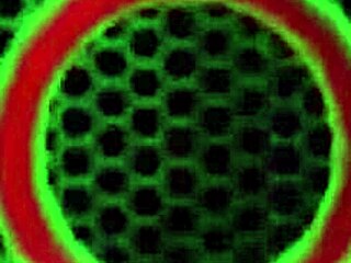 sara jay oils big bubble ass pussy for your licking pleasure