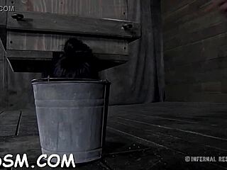 Bound Girls Compete in Rough Bondage Fuck Contest Tight Pussies