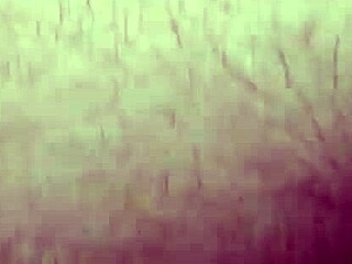 hard pounding step sis pussy early morning when house empty