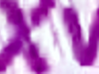 Hot wife in stockings gags on huge cock then takes anal to facial cumshot