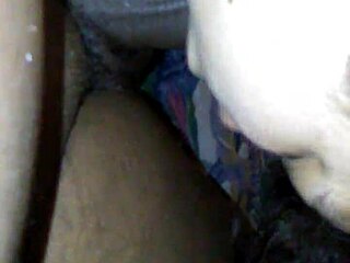 Latina BBW Cheats Sucking Stranger's Thick Cock