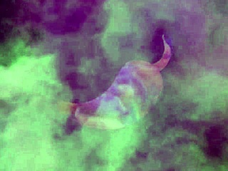 hidden cam busts boss railing big ass maid! 📹💦🔥