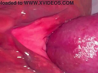 Amateur shaved pink pussy looks perfect 227 days after first fuck