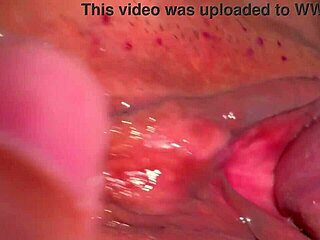 Amateur shaved pink pussy looks perfect 227 days after first fuck