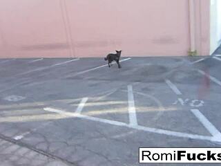 romi rain and dani get wet in black-light lesbian play 😈🍑💦