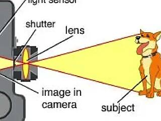 ai rapporto dil bombardilo crocodilo dirty retro vintage fuck scene
