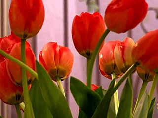 milf in sexy lingerie loves garden outdoor sex romp