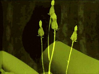 Vintage Cartoon Uncovers My Secret Retro Antique Life!