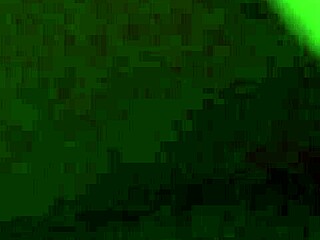 vietnamese hairy pussy got pounded so good by that oriental dick