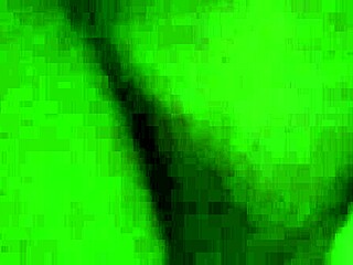 vietnamese hairy pussy got pounded so good by that oriental dick