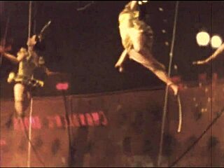 vintage erotic art showcases hairy beavers