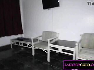 Femboy Bound Gives Sloppy Blowjob Then Takes Anal Pounding