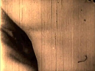 vintage erotic art showcases hairy beavers