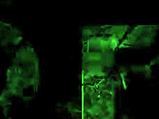 vintage erotic art showcases hairy beavers