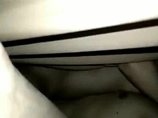 princess anica reigns supreme in her domain