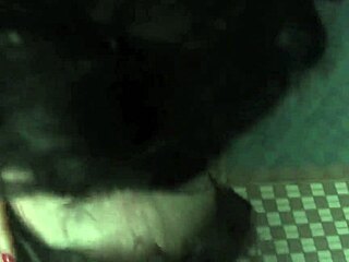 busty brunettes finger lick pussies in shared bath sex