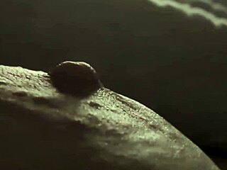 pinch pinch... ooh my plump left nipple up close 😍🔍