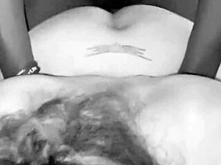 Hey, Can't Your Brother's Cheating Chubby Wife Quit Begging For My Big Black Cock?