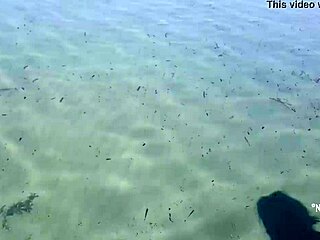 😍 nippleringlover pisses on nude beach with huge pierced nipples wide open pussy 🔥