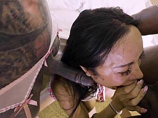 gaping tattooed tranny and big boobed shemale share bbc anal threesome cumshots