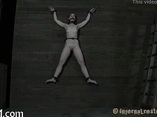 Master Commands Total Sadomasochism Obedience