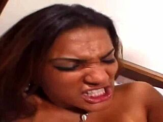 ebony paradise with monster black cocks clapping huge asses 🍫🍑🔥