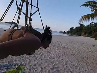 shibarista ep2: brunette bound on coconut tree outdoors