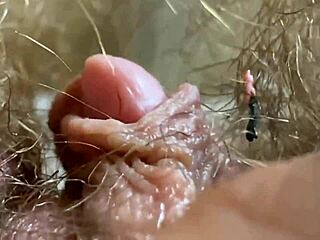 i'm zooming in on my huge clit vagina asshole for giantess fetish fans hairy everywhere